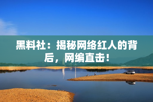 黑料社：揭秘网络红人的背后，网编直击！