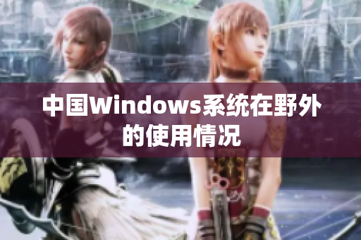 中国Windows系统在野外的使用情况