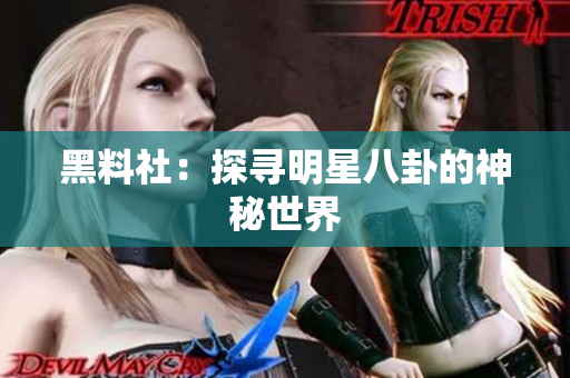 黑料社：探寻明星八卦的神秘世界