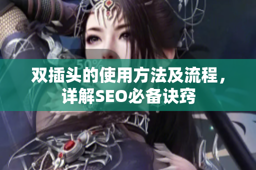 双插头的使用方法及流程，详解SEO必备诀窍