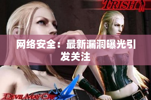 网络安全：最新漏洞曝光引发关注