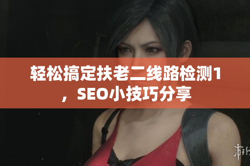 轻松搞定扶老二线路检测1，SEO小技巧分享