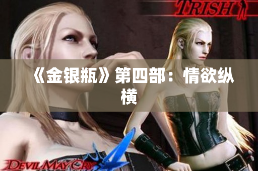 《金银瓶》第四部：情欲纵横