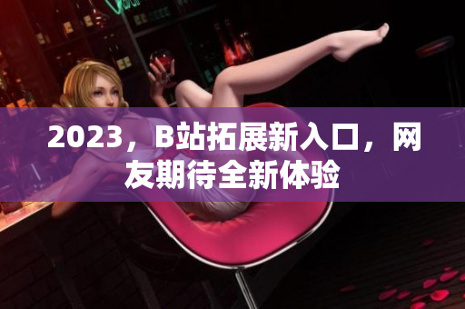 2023，B站拓展新入口，网友期待全新体验