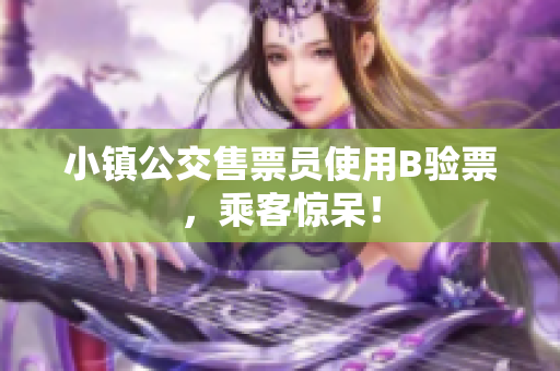 小镇公交售票员使用B验票，乘客惊呆！
