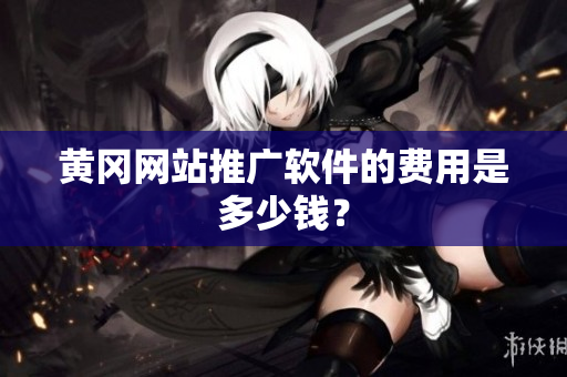 黄冈网站推广软件的费用是多少钱？