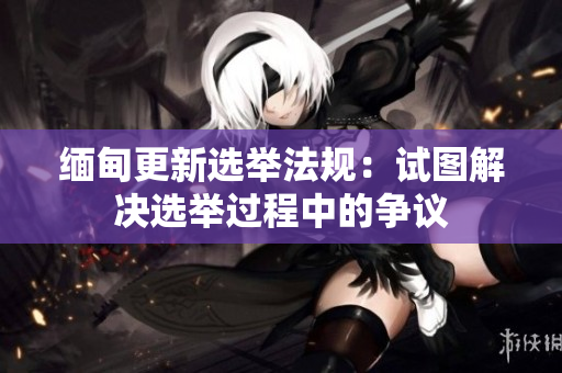 缅甸更新选举法规：试图解决选举过程中的争议