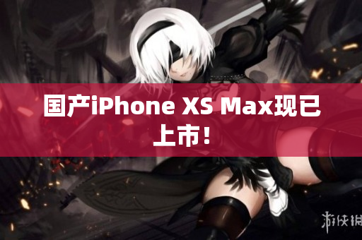 国产iPhone XS Max现已上市！