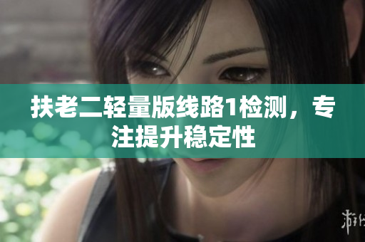 扶老二轻量版线路1检测，专注提升稳定性
