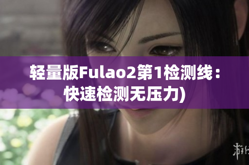 轻量版Fulao2第1检测线：快速检测无压力)