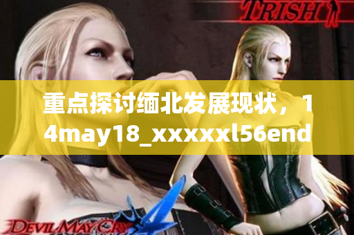 重点探讨缅北发展现状，14may18_xxxxxl56endian汇报