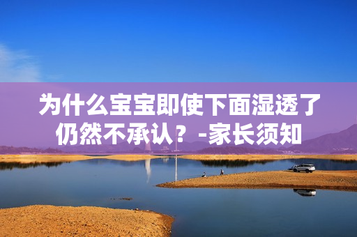 为什么宝宝即使下面湿透了仍然不承认？-家长须知