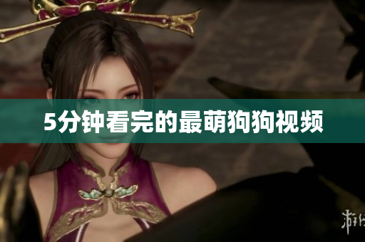 5分钟看完的最萌狗狗视频