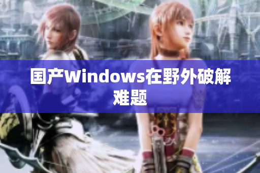 国产Windows在野外破解难题