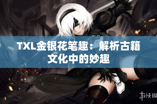 TXL金银花笔趣：解析古籍文化中的妙趣
