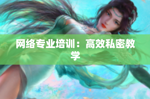 网络专业培训：高效私密教学