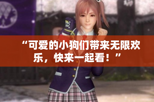 “可爱的小狗们带来无限欢乐，快来一起看！”