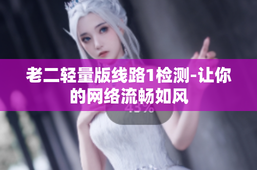老二轻量版线路1检测-让你的网络流畅如风