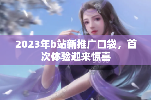 2023年b站新推广口袋，首次体验迎来惊喜