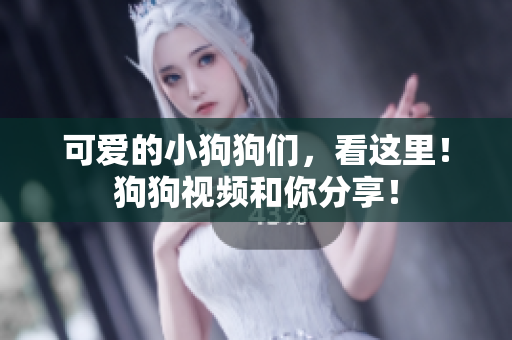 可爱的小狗狗们，看这里！狗狗视频和你分享！