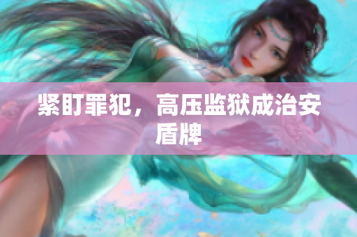 紧盯罪犯，高压监狱成治安盾牌