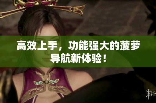 高效上手，功能强大的菠萝导航新体验！