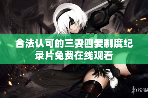 合法认可的三妻四妾制度纪录片免费在线观看