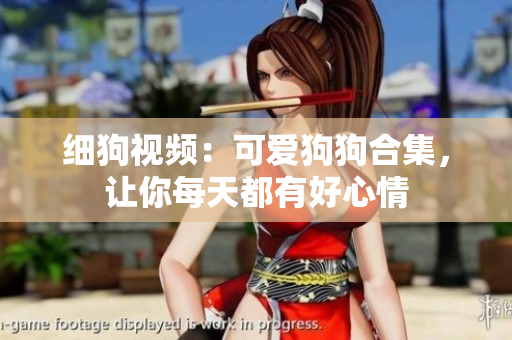 细狗视频：可爱狗狗合集，让你每天都有好心情