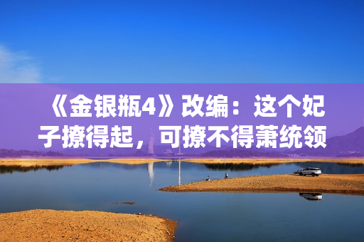 《金银瓶4》改编：这个妃子撩得起，可撩不得萧统领