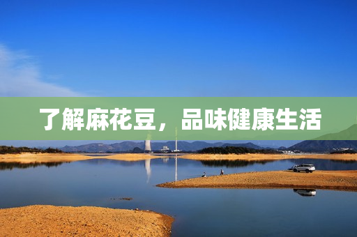 了解麻花豆，品味健康生活