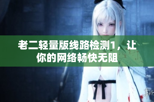 老二轻量版线路检测1，让你的网络畅快无阻