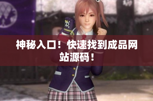 神秘入口！快速找到成品网站源码！
