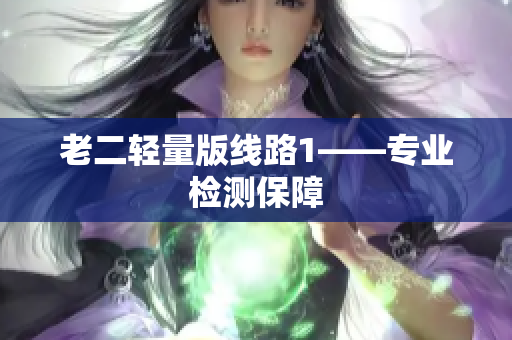 老二轻量版线路1——专业检测保障