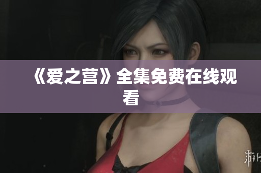 《爱之营》全集免费在线观看
