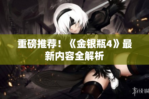重磅推荐！《金银瓶4》最新内容全解析
