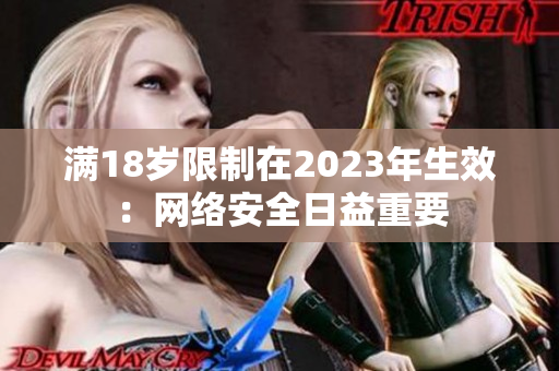 满18岁限制在2023年生效：网络安全日益重要