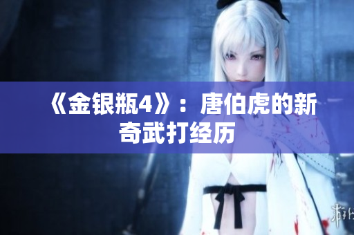 《金银瓶4》：唐伯虎的新奇武打经历