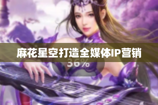 麻花星空打造全媒体IP营销