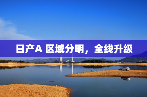 日产A 区域分明，全线升级