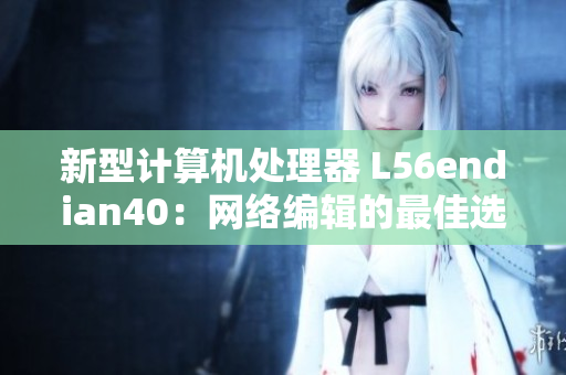 新型计算机处理器 L56endian40：网络编辑的最佳选择