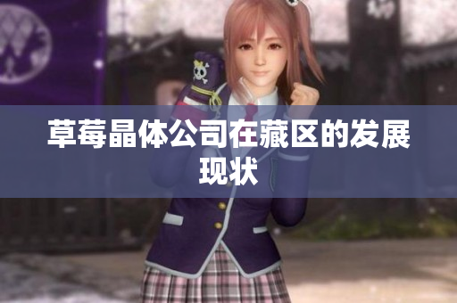 草莓晶体公司在藏区的发展现状
