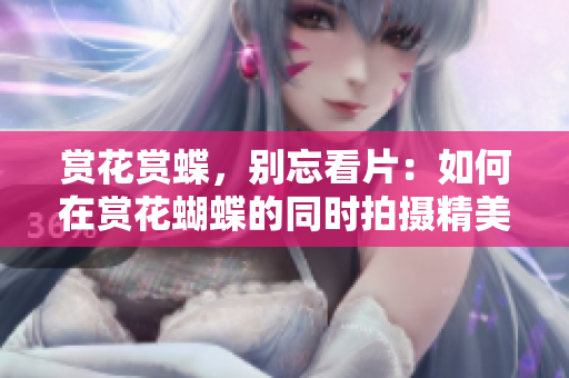 赏花赏蝶，别忘看片：如何在赏花蝴蝶的同时拍摄精美片段