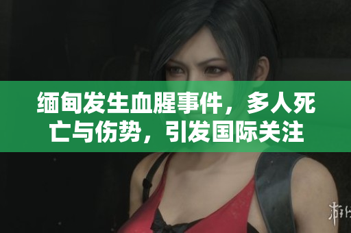 缅甸发生血腥事件，多人死亡与伤势，引发国际关注