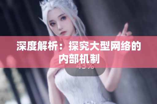 深度解析：探究大型网络的内部机制