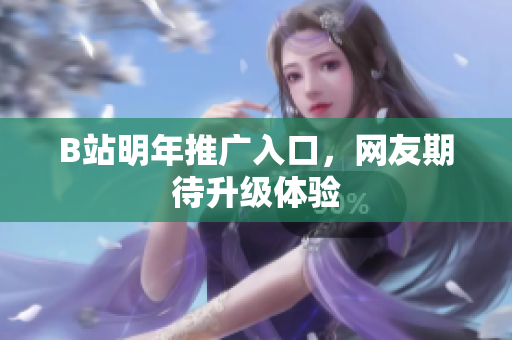 B站明年推广入口，网友期待升级体验