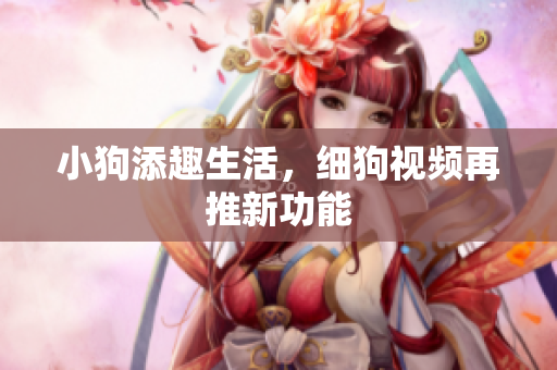小狗添趣生活，细狗视频再推新功能