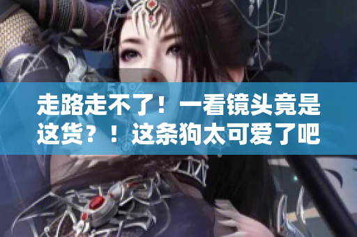 走路走不了！一看镜头竟是这货？！这条狗太可爱了吧！