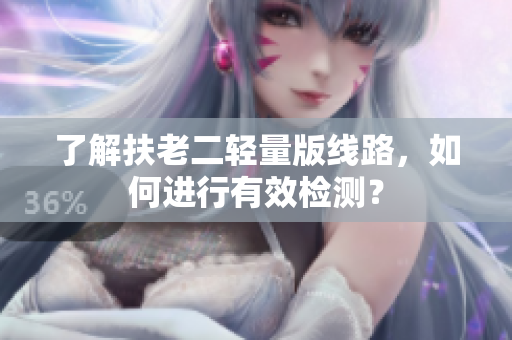 了解扶老二轻量版线路，如何进行有效检测？