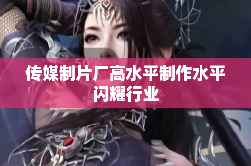 传媒制片厂高水平制作水平闪耀行业