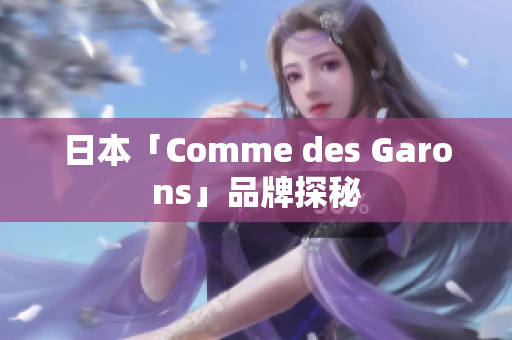 日本「Comme des Garons」品牌探秘